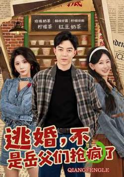 逃婚，不，是岳父们抢疯了在线观看
