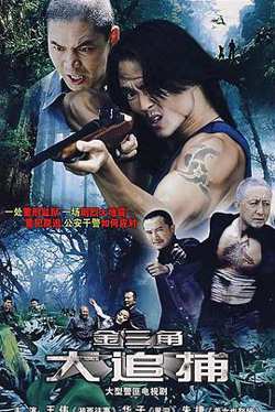 大追捕2008高清播放