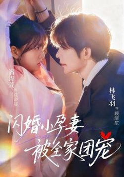 闪婚小孕妻被全家团宠高清播放