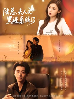 陆总夫人又黑进系统了高清播放