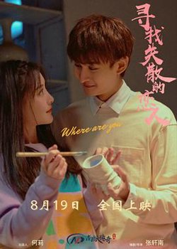 寻找消失的恋人在线观看