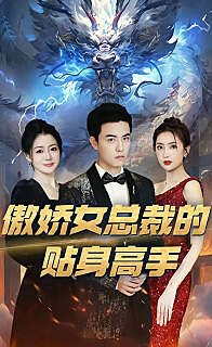 傲娇女总裁的贴身高手高清播放