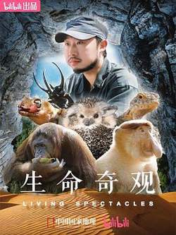 生命奇观高清播放