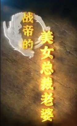 战帝的美女总裁老婆在线观看