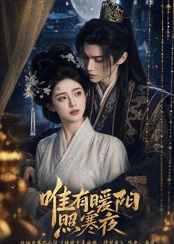 唯有暖阳照寒夜在线观看