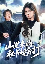 山里来的秘书超会打