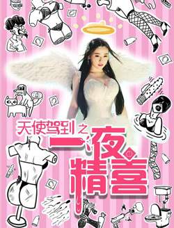 天使驾到之一夜精喜高清播放