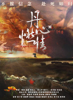 丹心燃情高清播放