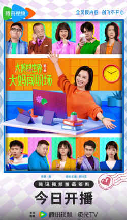 大妈的世界3:大妈闯职场