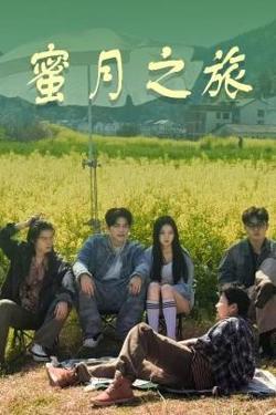 蜜月之旅高清播放