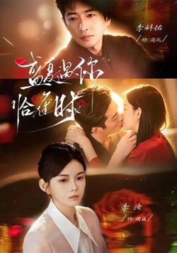 盛夏遇你恰逢时