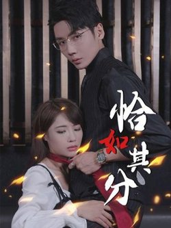 恰如其分在线观看