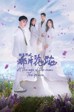 那年那人那片花海高清播放