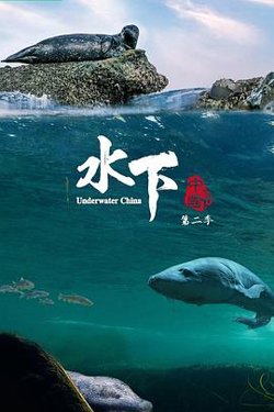 水下中国第二季在线观看