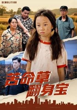 苦命草翻身宝高清播放