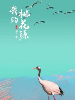 我的桃花源第三季在线观看