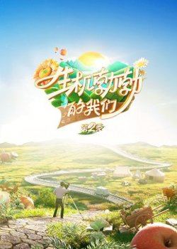 生机勃勃的我们第二季高清播放