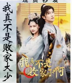 我真不是败家大少在线观看