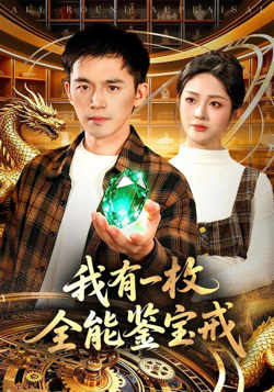我有一枚全能鉴宝戒在线观看