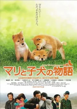 爱犬奇迹【影视解说】高清播放
