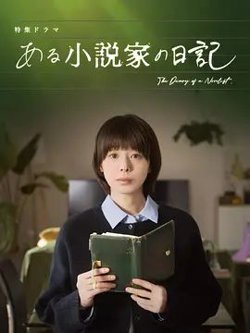 某小说家的日记在线观看