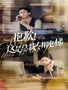 抱歉这是总裁专用电梯在线观看