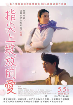 风临樱花开高清播放