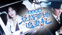 五宝奇兵总裁爹地追妻忙在线观看