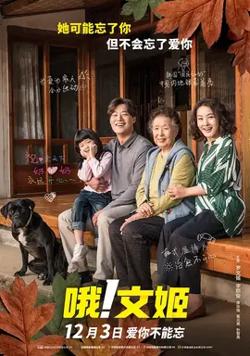 哦，文姬【影视解说】高清播放