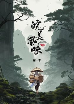 皖美风味高清播放