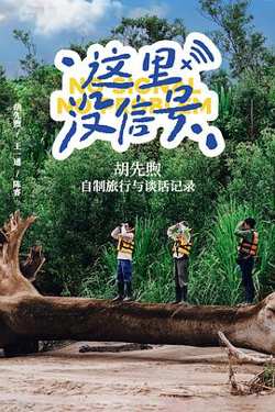 这里没信号高清播放
