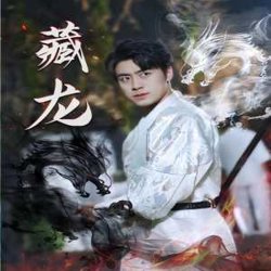 藏龙74集版高清播放