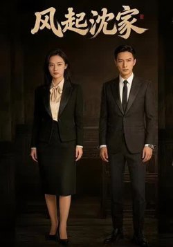风起沈家