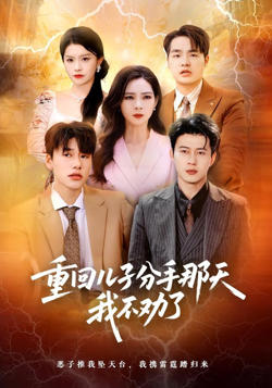 重回儿子分手那天，我不劝了高清播放