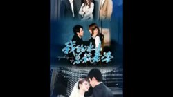 我的冰山总裁老婆高清播放
