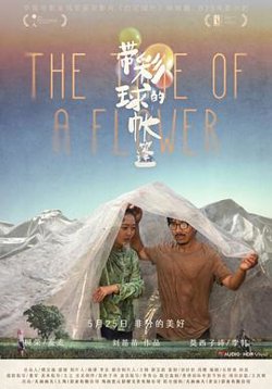 带彩球的帐篷[预告片]高清播放