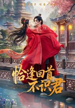 恰逢回首不识君