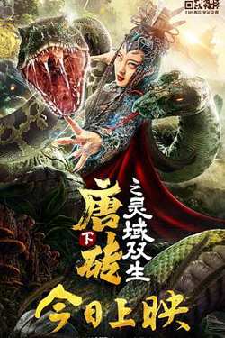 唐砖下之灵域双生高清播放