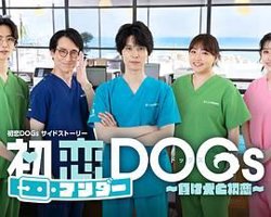 初恋UNDER DOGs 败犬与初恋在线观看
