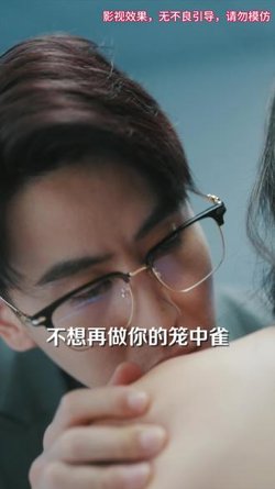 笼中雀高清播放