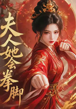 夫人她会拳脚在线观看