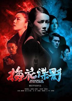 梅花谍影在线观看