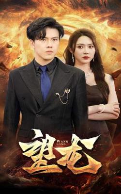 望龙短剧版高清播放
