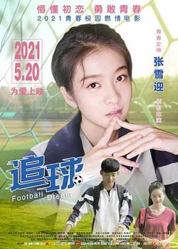 追球高清播放
