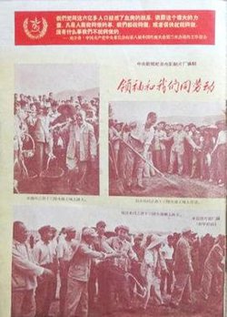 领袖和我们同劳动在线观看