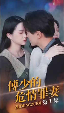 傅少的隐婚罪妻在线观看