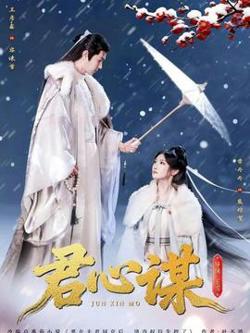 君心谋高清播放