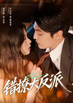 错撩大反派高清播放