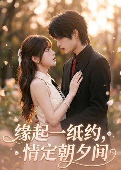 缘起一纸约，情定朝夕间高清播放