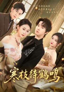 寒枝待鹤鸣高清播放